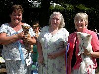 Photo of Mrs S Hornby with RBIS Bram-
erita Flamin Hot, BIS judge Mrs Pam
Carpenter, and Mrs N Armstrong with
BIS Cheveraz Dream Awhile